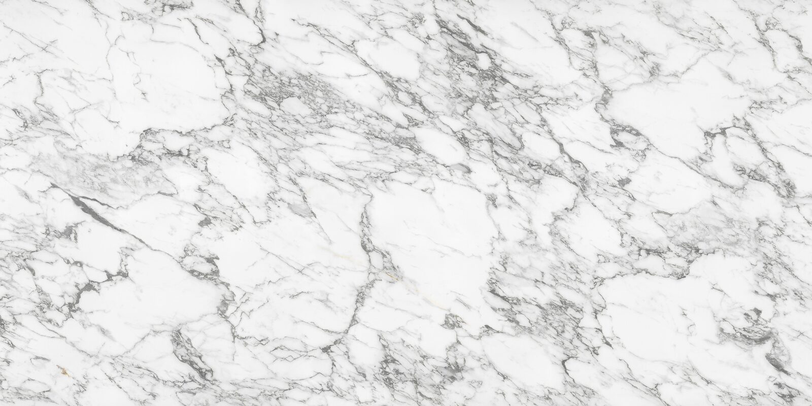 Brera porcelain slab. Bright white with grey veins that break into a fine web. Full slab, 5 ft 3 in by 10 ft 6 in.
